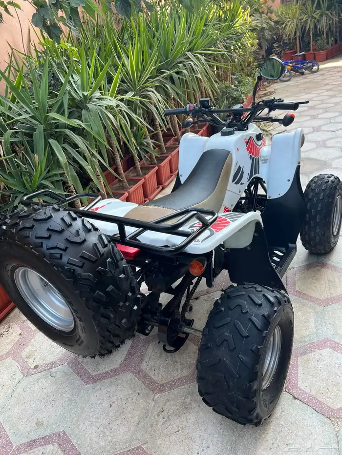دباب سويدي 1