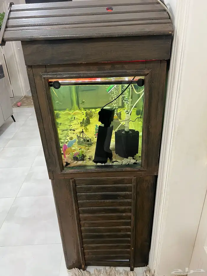 حوض سمك نهري كبير وحوض بحري 0