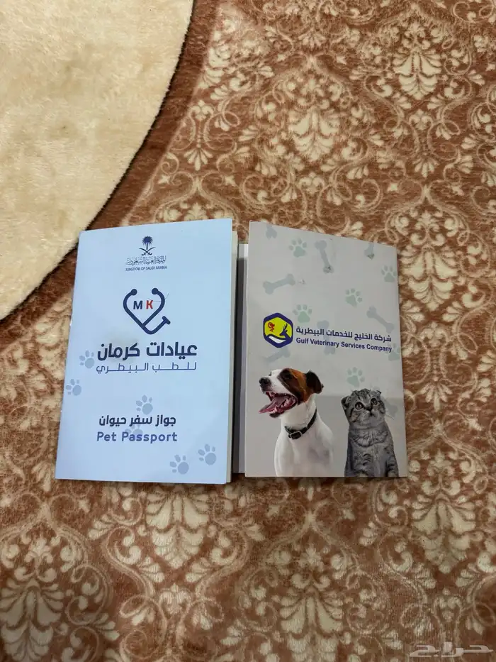 قطو تربيه 2