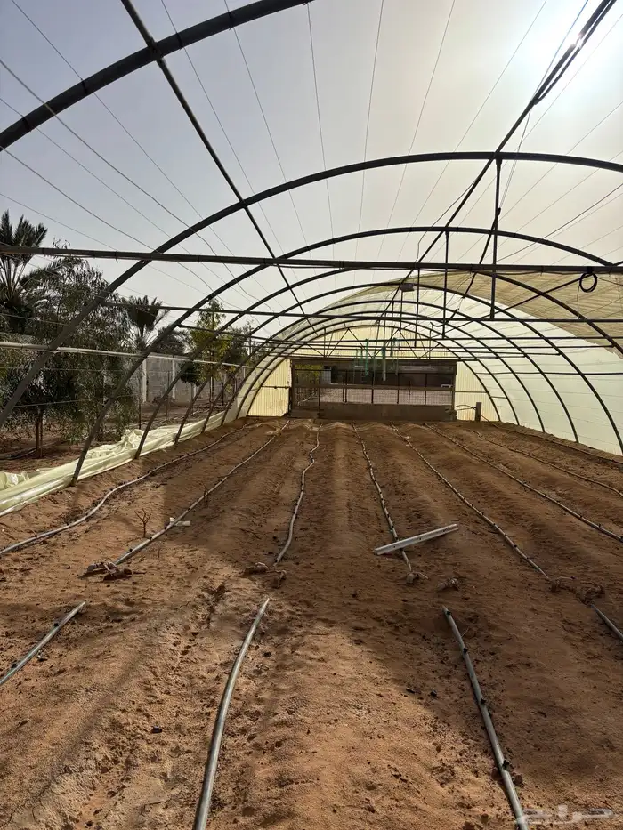 هيكل بيت محمي 6