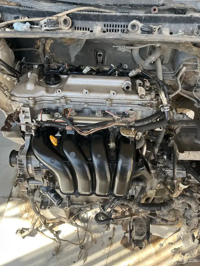 مكينه كورلا 0