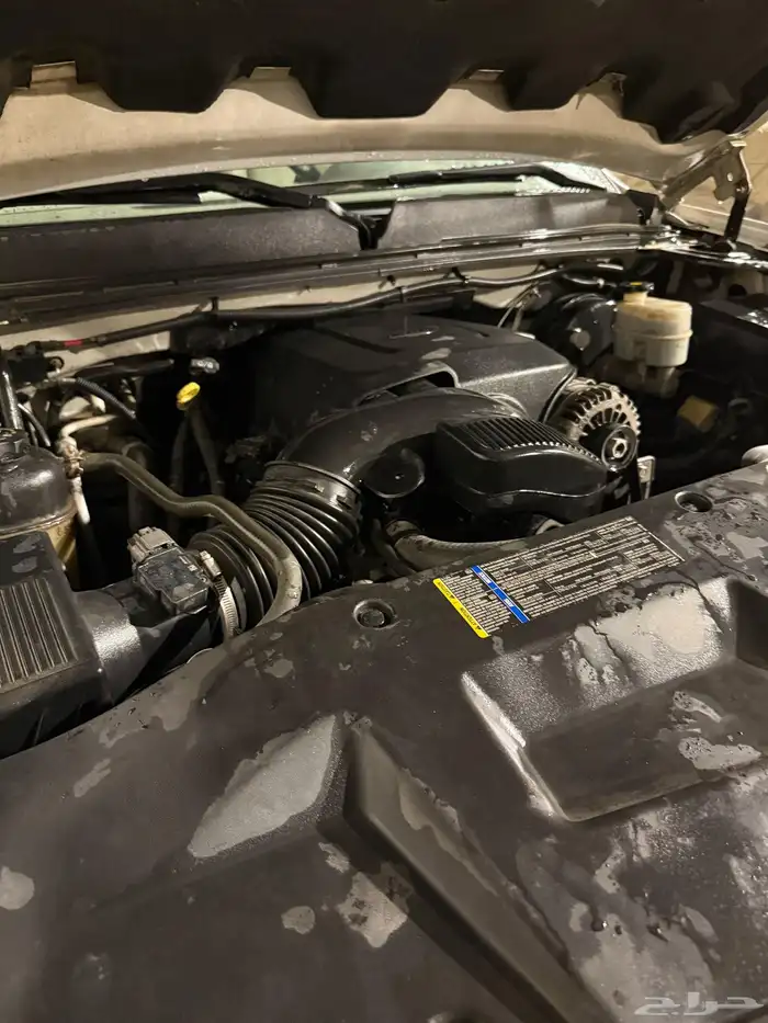 دينالي سيرا أبيض 2009 للبيع 13