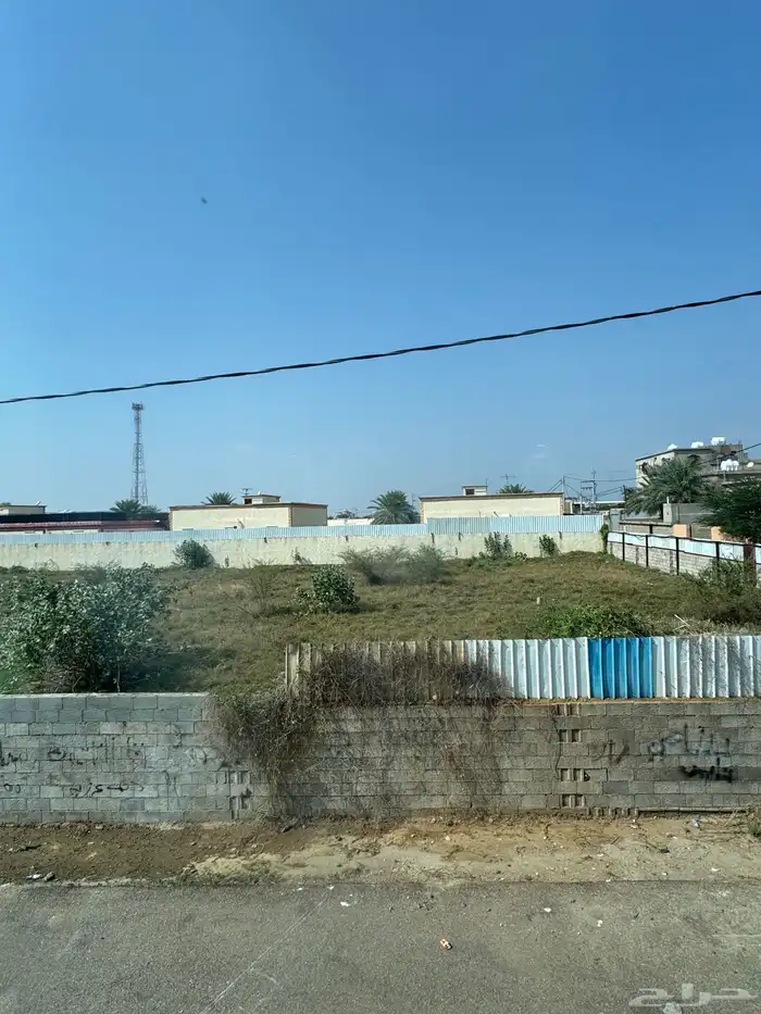 دربال كوري 3