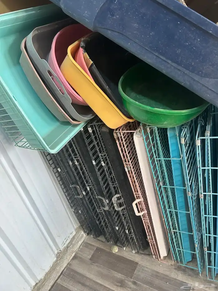 أغراض قطط للبيع الرياض 0