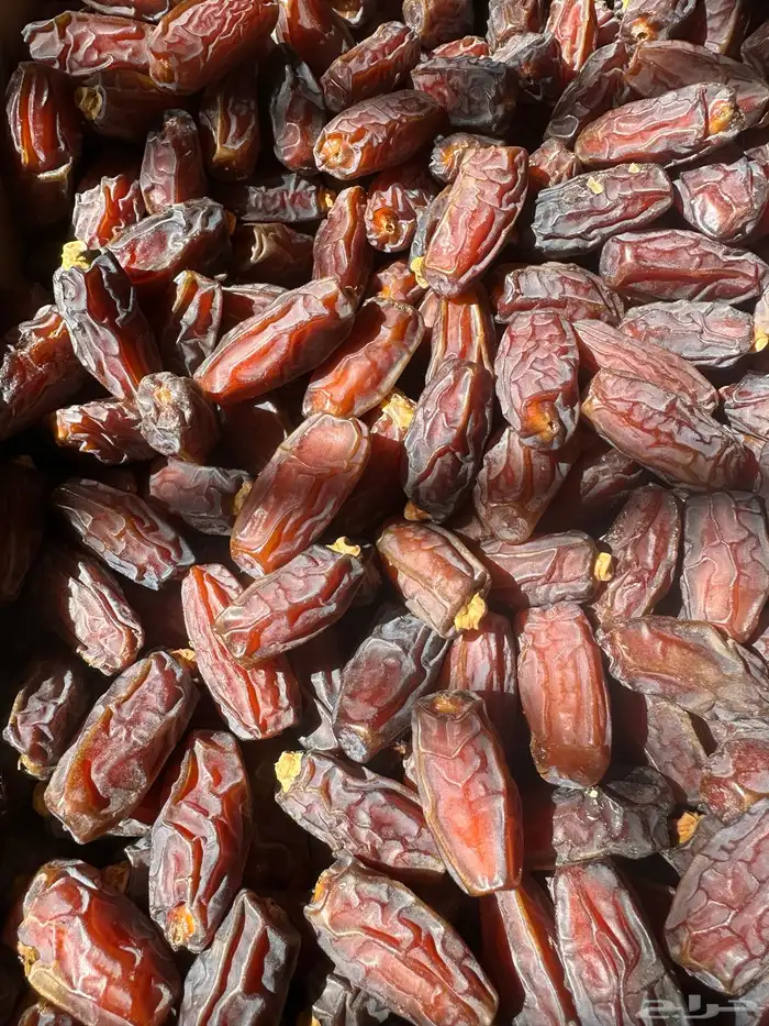 تمر مبروم للبيع 5