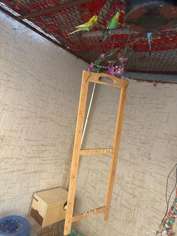 محميه كامله لبيع 2