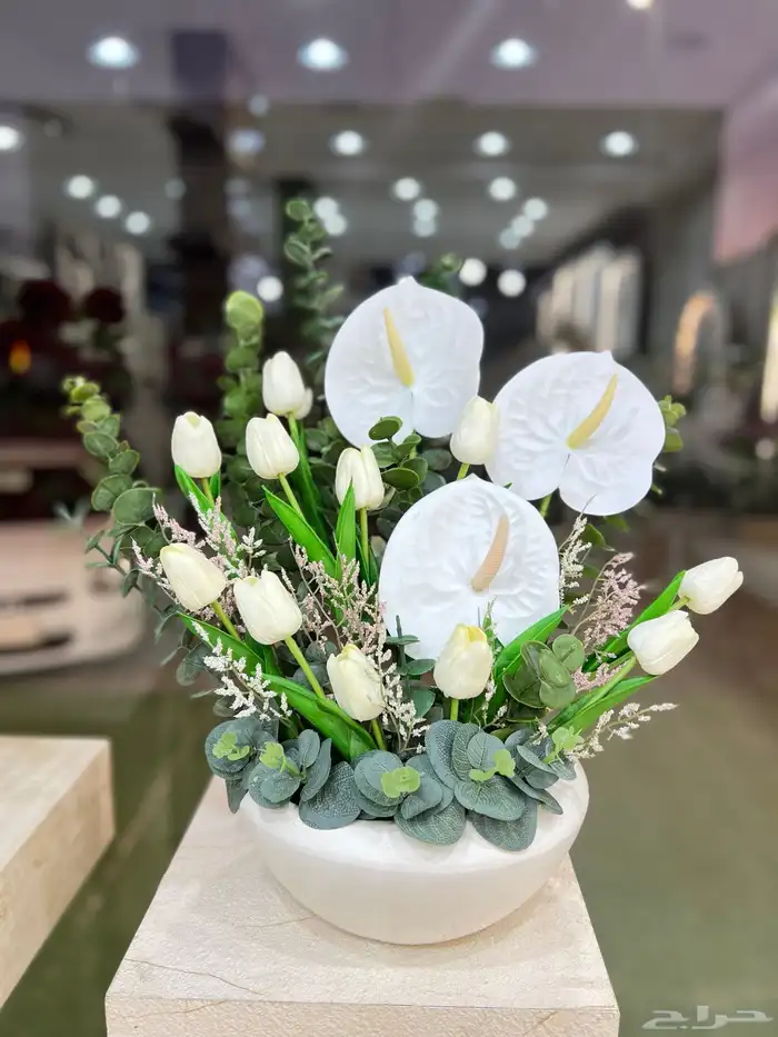 https   maps.app.goo.gl hpED9NPyrjjG7xEz7 g_st ic 72