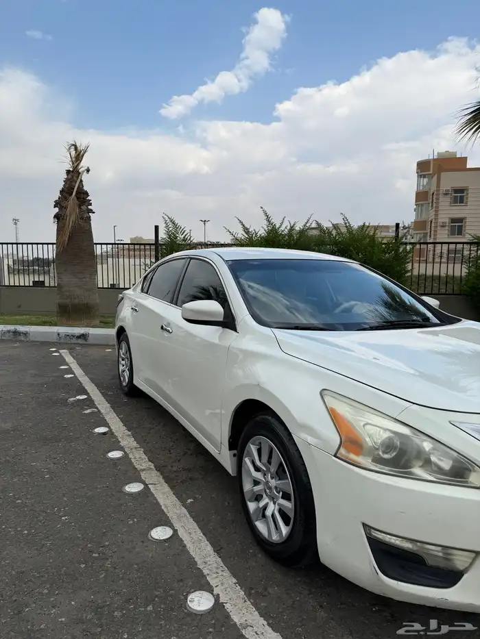 التيما 2014 ستاندر 3