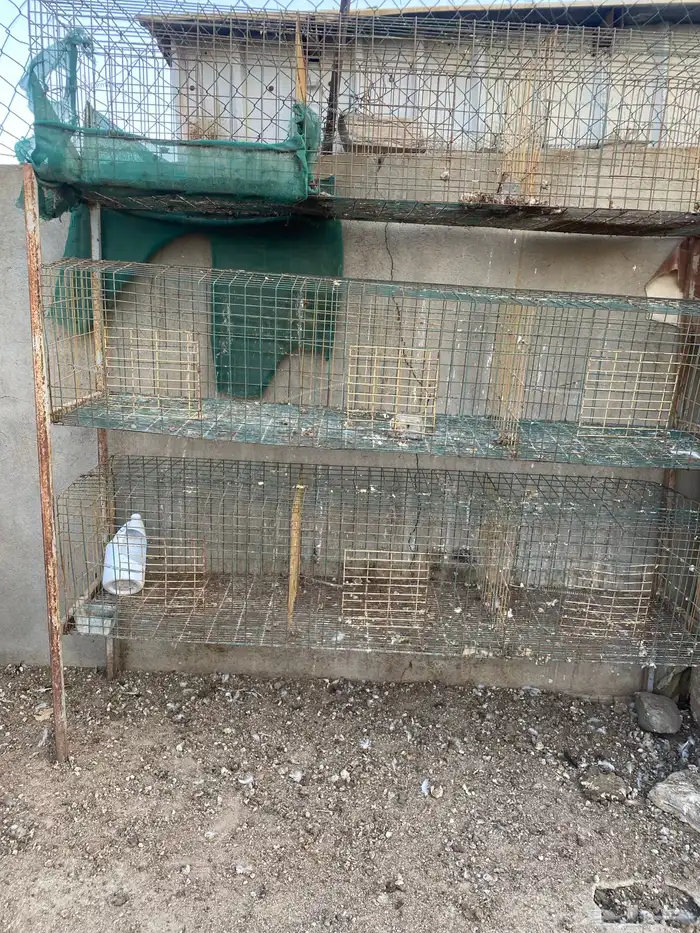 للبيع محاكر حمام 2