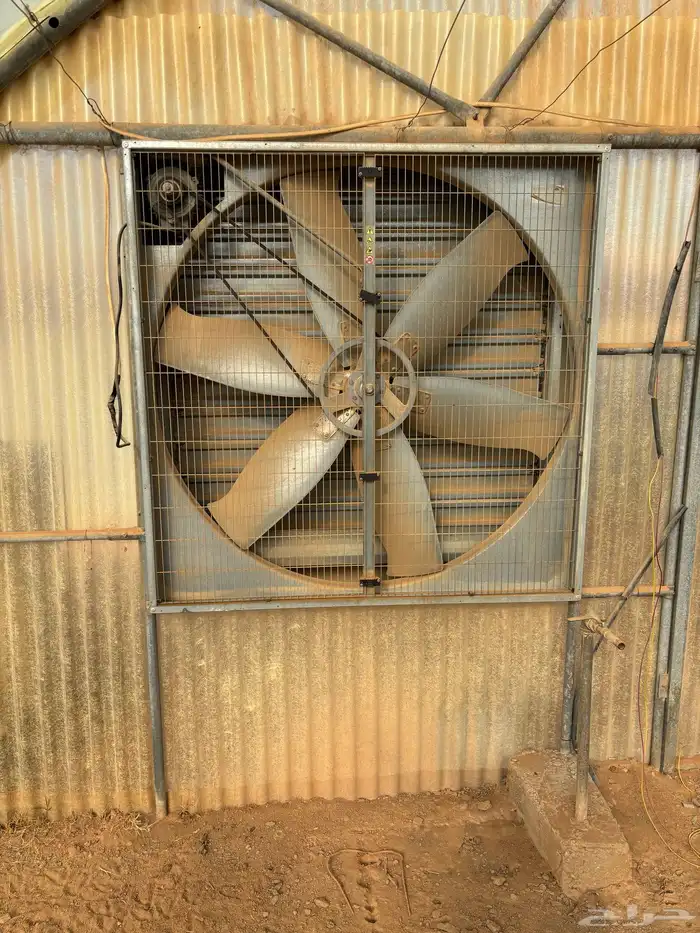 هيكل بيت محمي 2