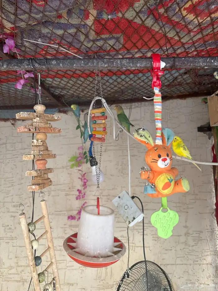 محميه كامله لبيع 1