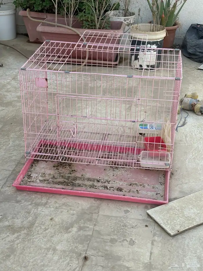 اقفاص وبيضات لي البيع كامل 9