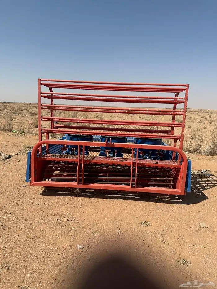 شتالة ملفوف وخس وطماطم وباذنجان 1