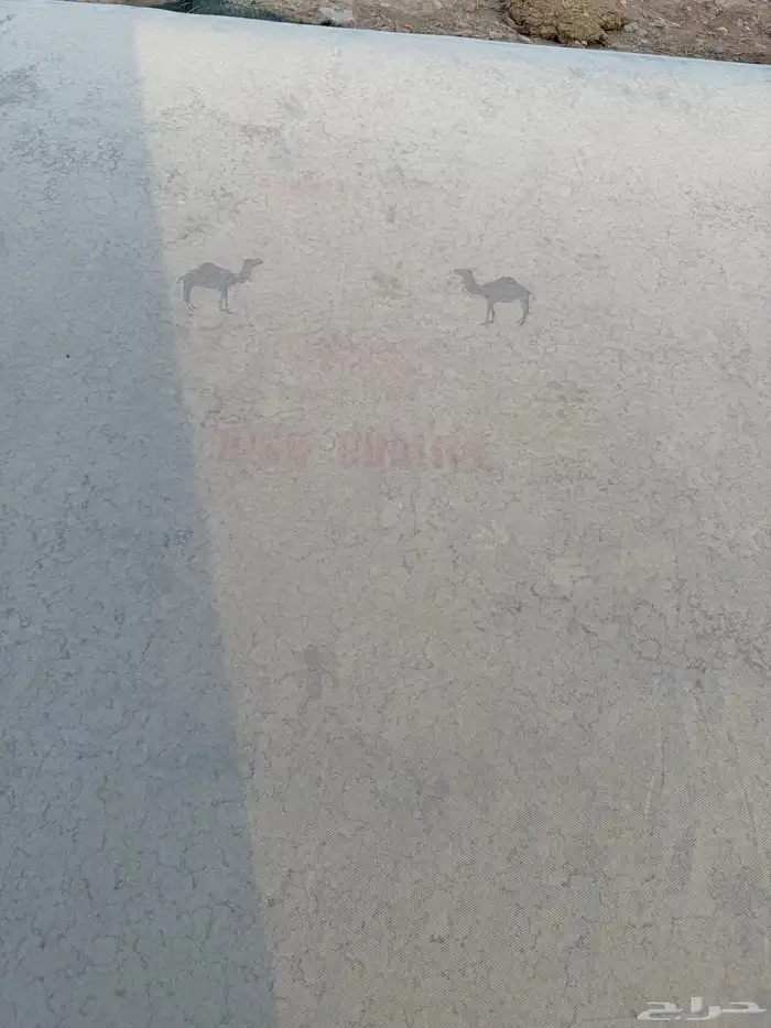 مطارة ماء 0