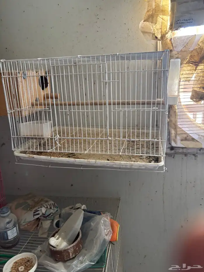 اقفاص وبيضات لي البيع كامل 3