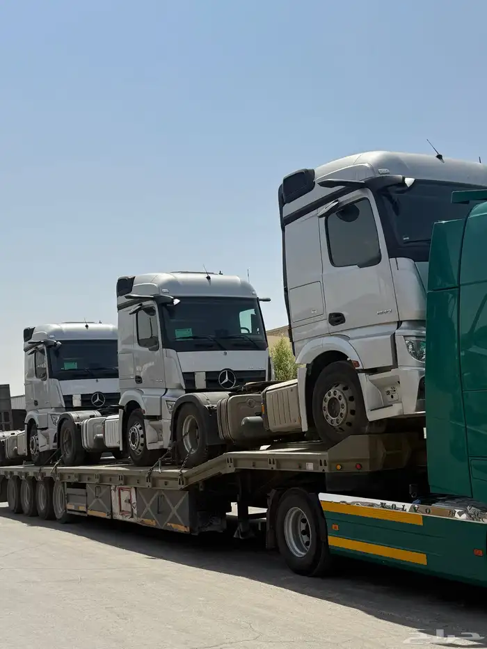 للبيع اكتروس موديل 2022 عدد 100 راس 6