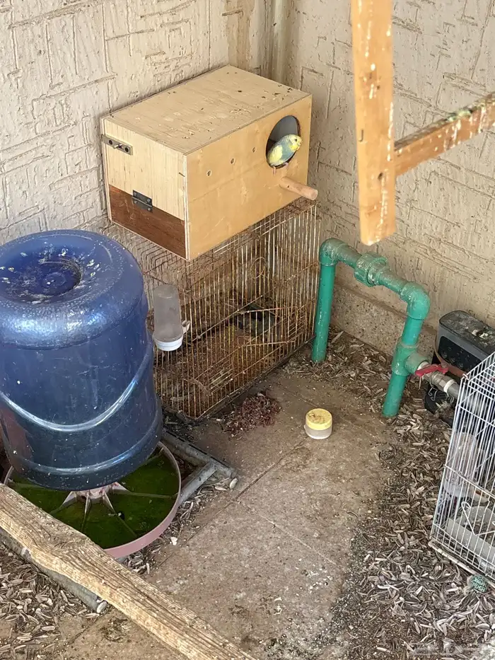 محميه كامله لبيع 3