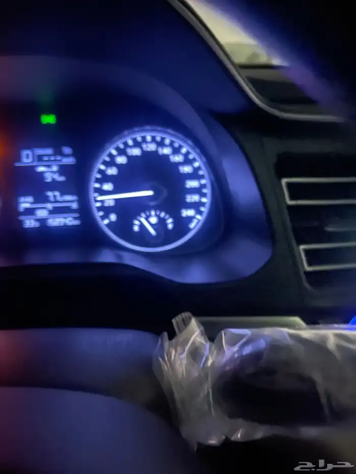 النتراء 2020. الممشي 158825. نصف فل كأمره وجنوط حساسات 3