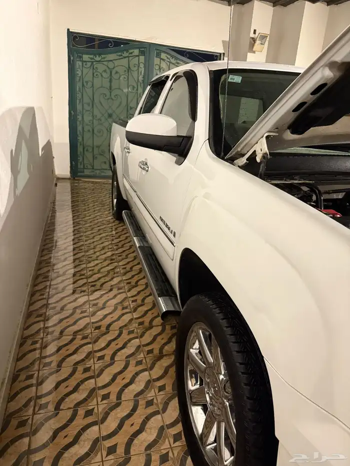 دينالي سيرا أبيض 2009 للبيع 11