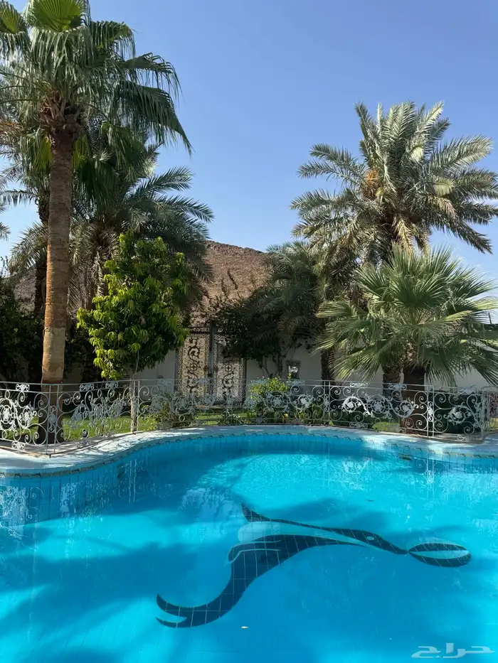 استراحة لاقينا هوم بمسبح كبير جدا 13