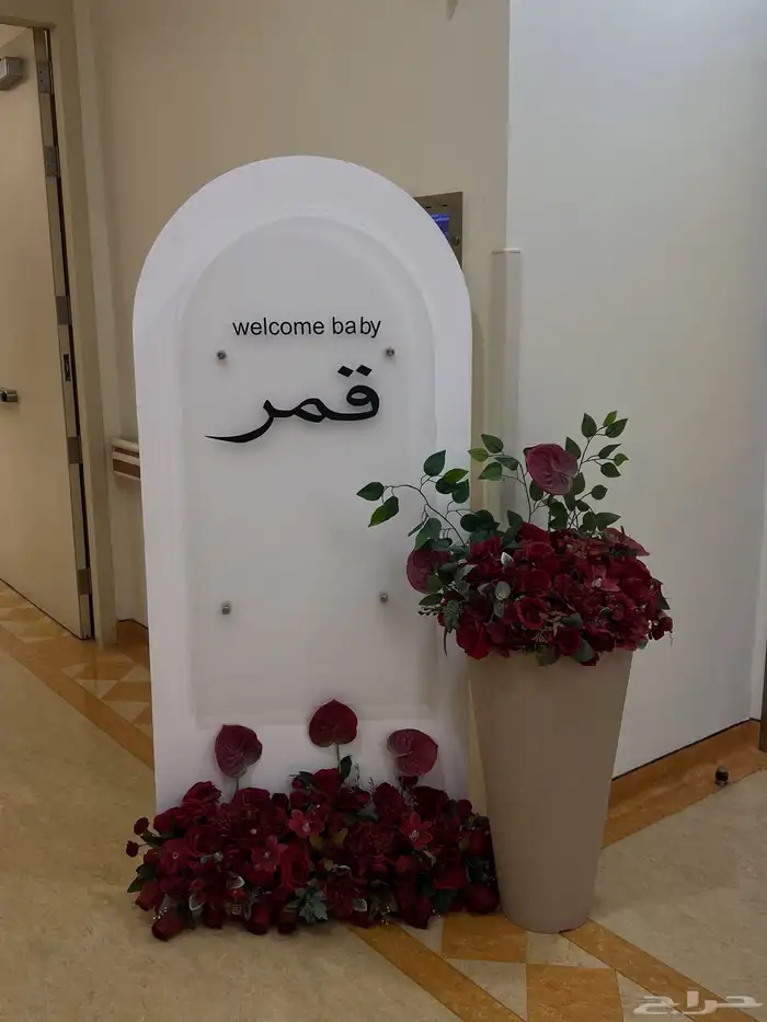 مدخل استقبال مواليد 5