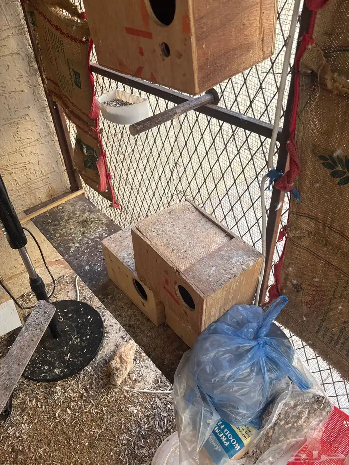 محميه كامله لبيع 5