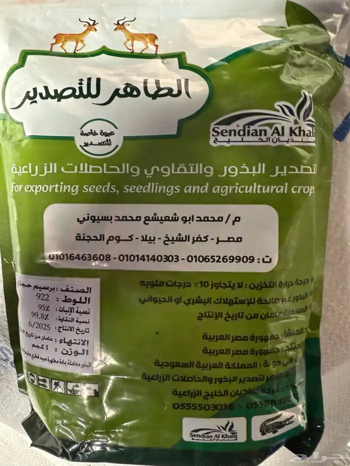 برسيم حجازي مصري 0