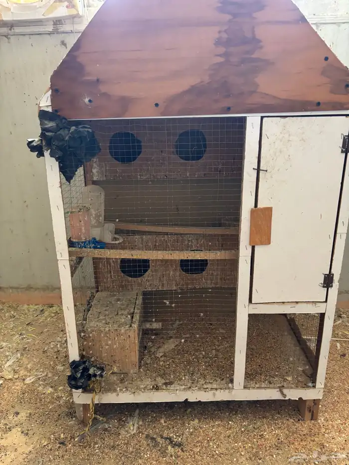 اقفاص وبيضات لي البيع كامل 7