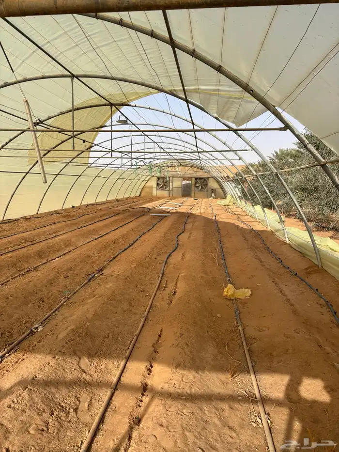 هيكل بيت محمي 4