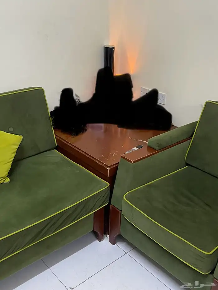 كنب للبيع حرف L 3