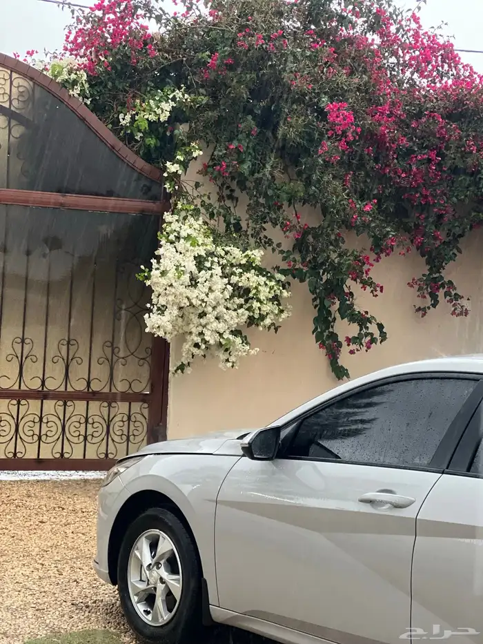 مصورة جوال 42