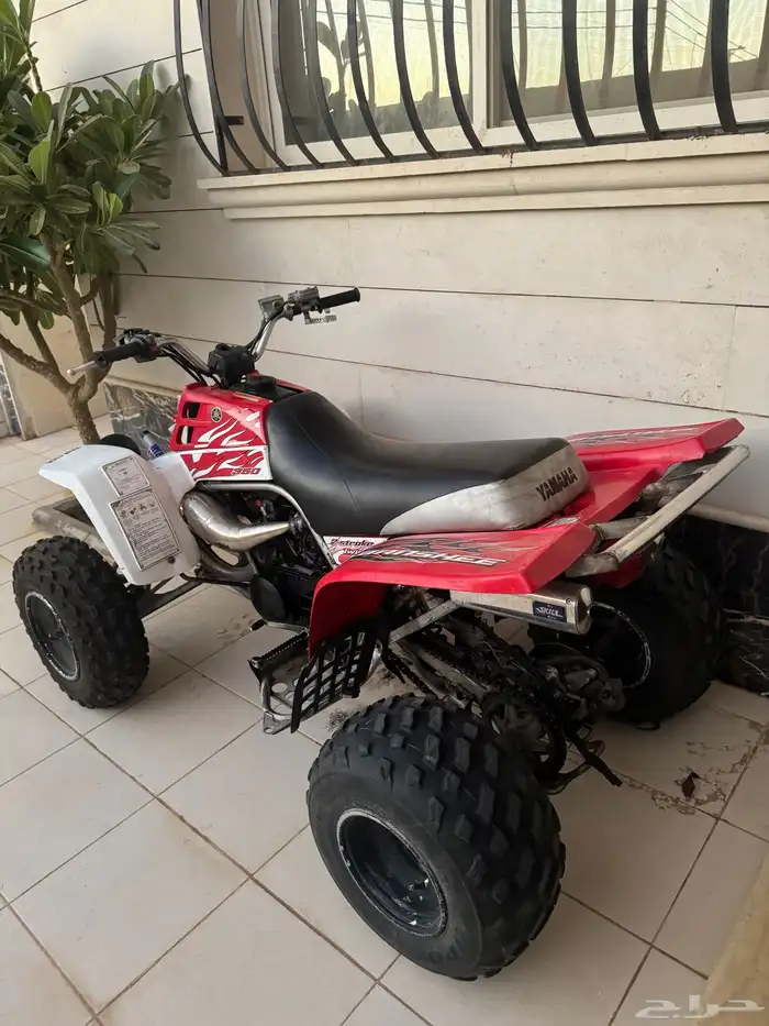 دباب بانشي 1