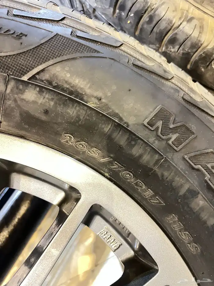 جنوط برادا 3