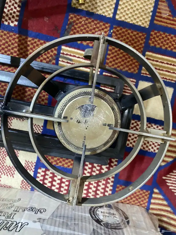للبيع قز عنين. معه اللي والشنطه 4