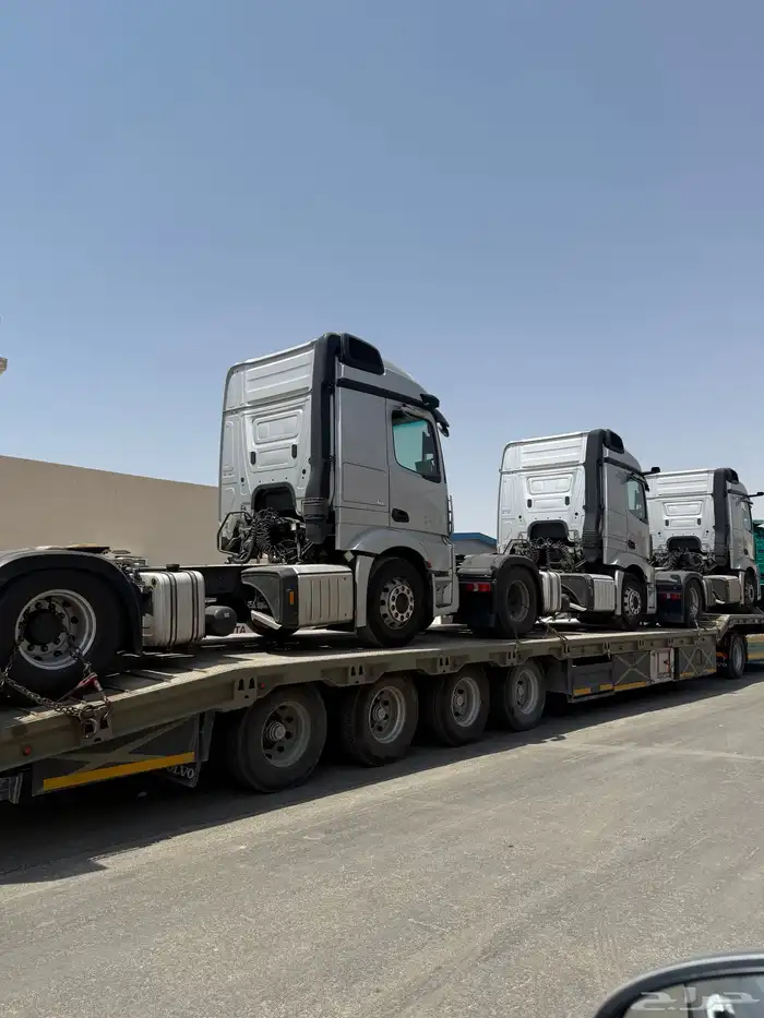 للبيع اكتروس موديل 2022 عدد 100 راس 8