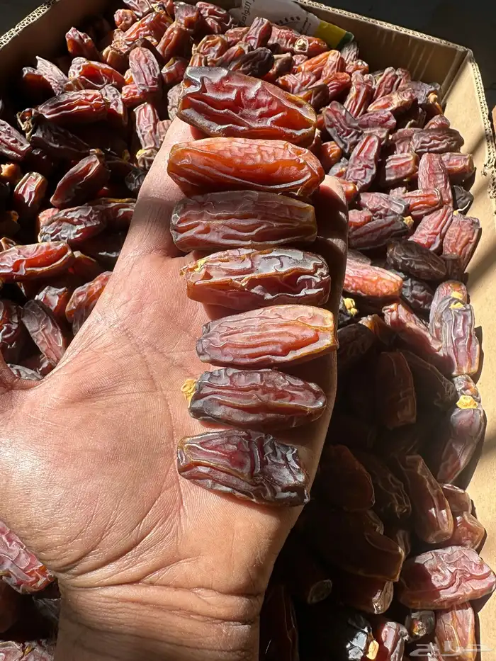 تمر مبروم للبيع 3