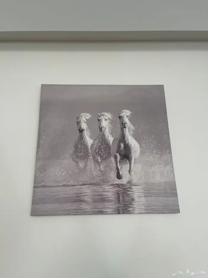 لوحة جدارية خيل 0