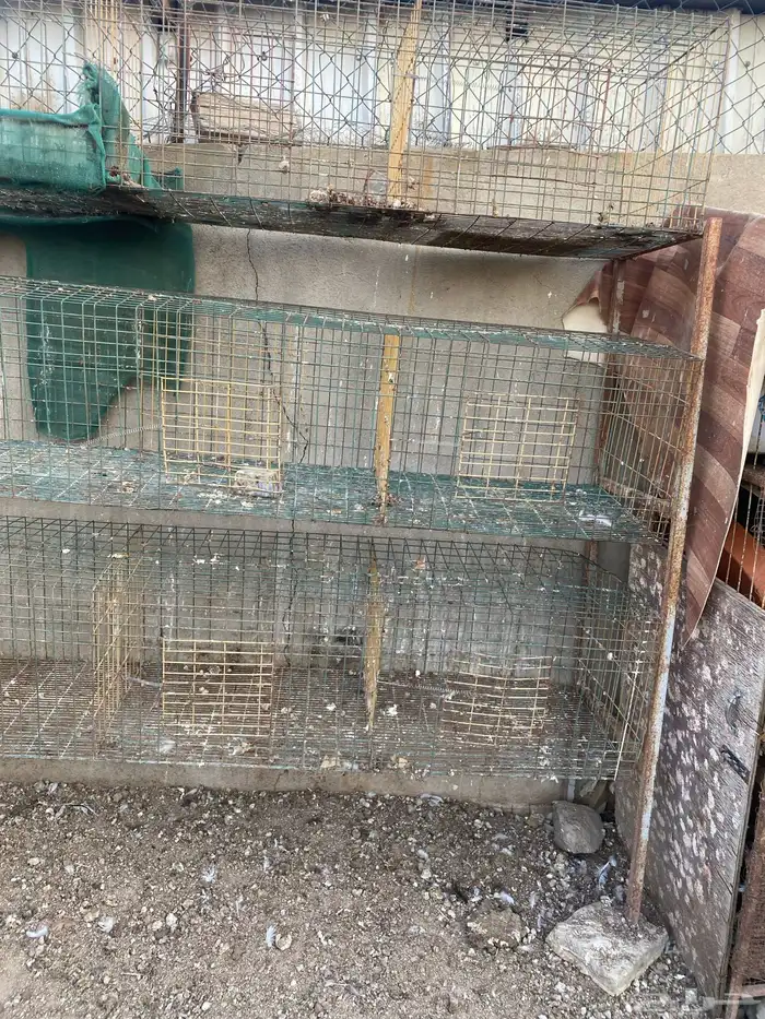 للبيع محاكر حمام 1