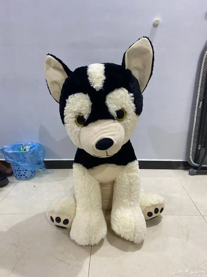 ذيب موسم الرياض 1