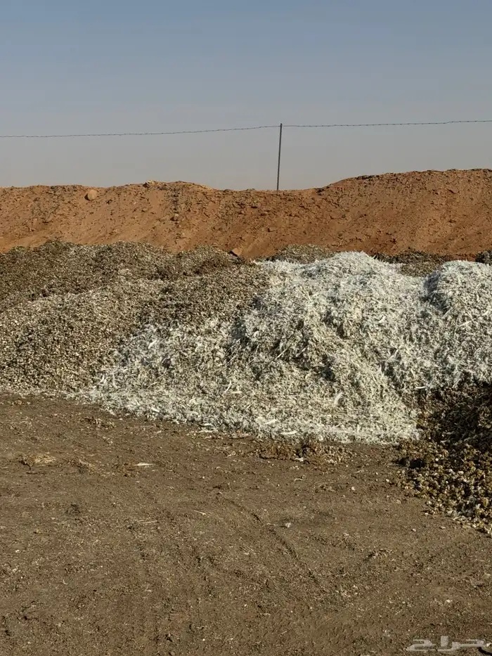 سماد بقري وبياض 1