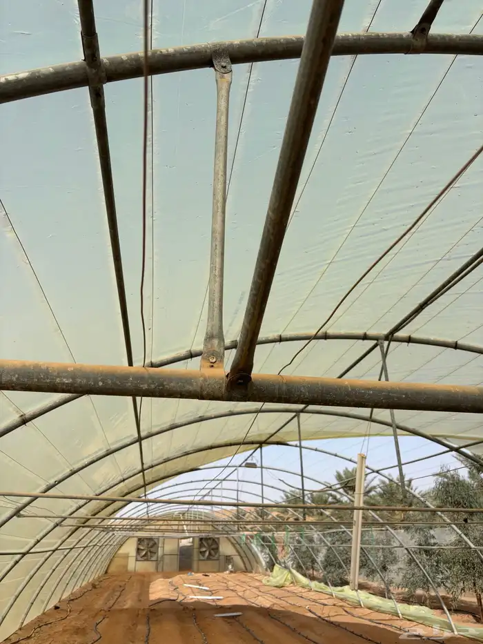 هيكل بيت محمي 3