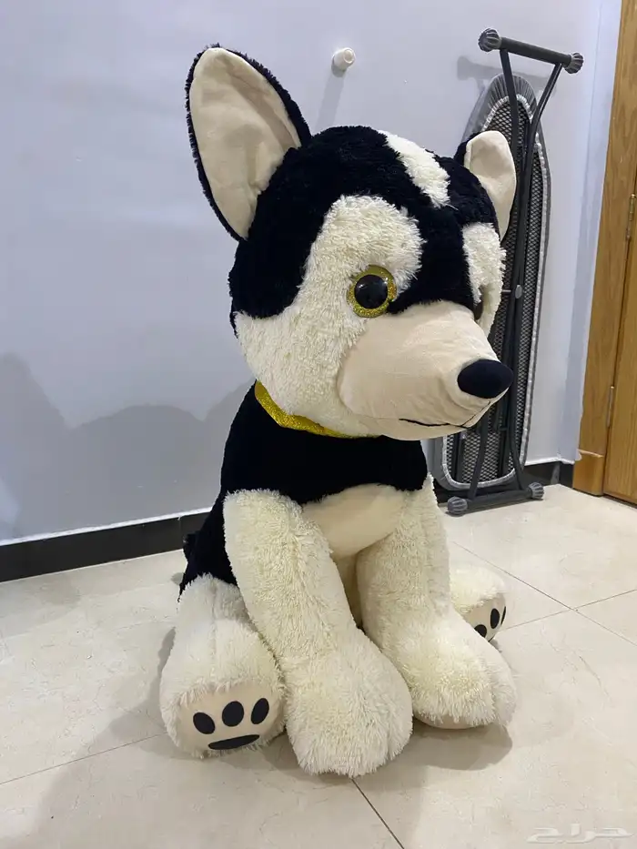 ذيب موسم الرياض 0