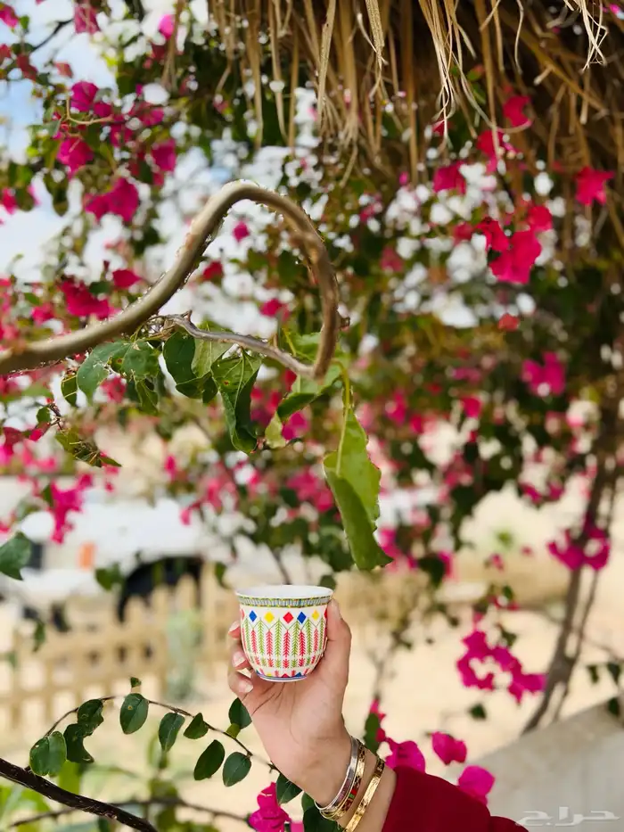 مصورة جوال 41