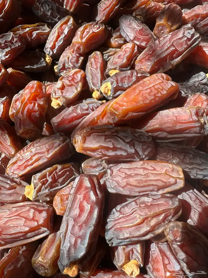 تمر مبروم للبيع 4