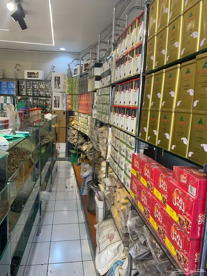 مطاحن ومحامص للتقبيل احد رفيده سوق الشمس 0