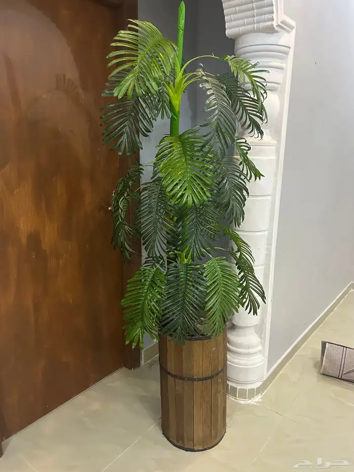 طقم كنب اربع قطع مع شجرة زينة بحالة مقبولة للبيع 1