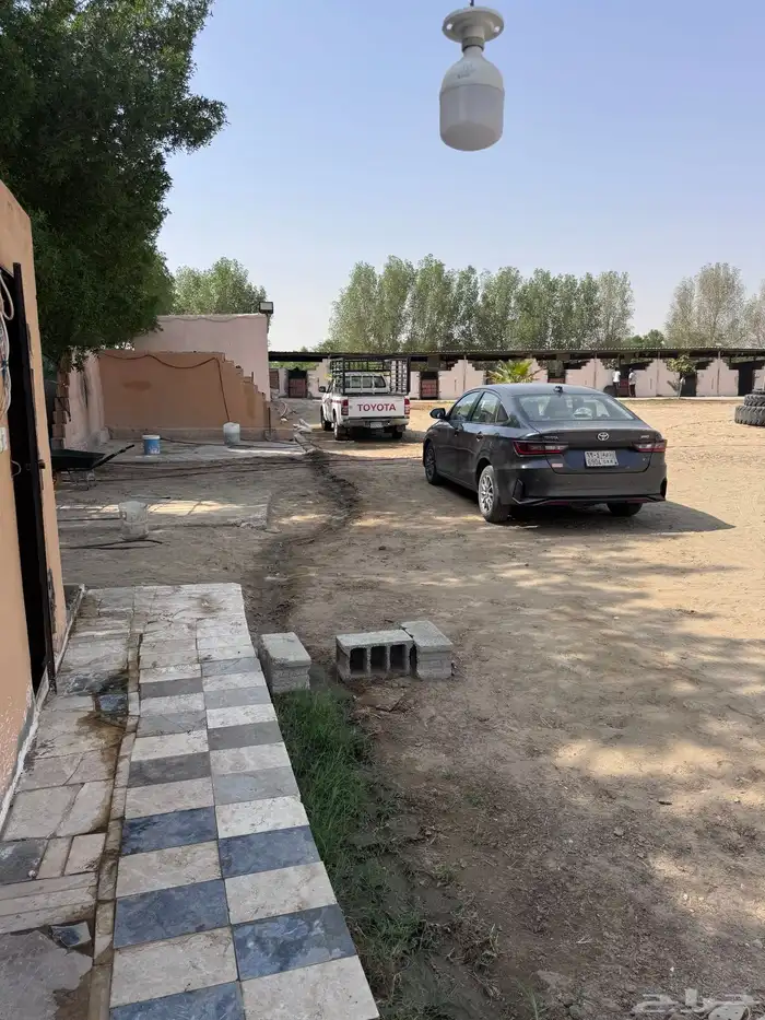 ايجار ايواء. تعليم للخيوال 12