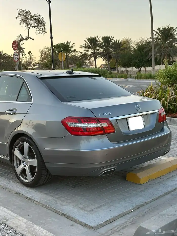E300 2013 1