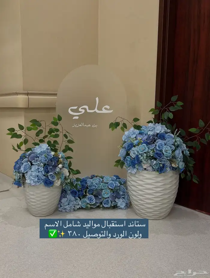 ايجار ستاند مواليد 2