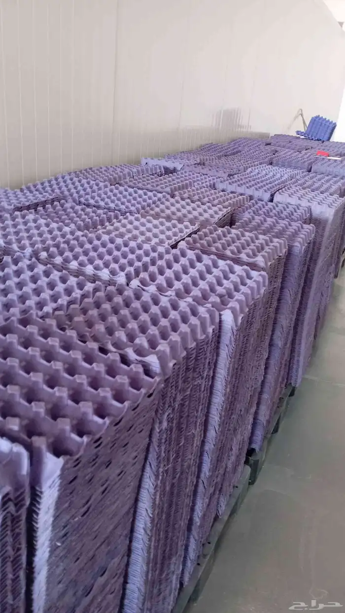 حريملاء شعيب دقله موجود أطباق بيض فارغه 2